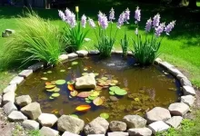 Photo of Как сделать красивый водоем на даче
